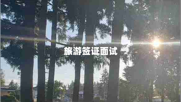 旅游签证面试