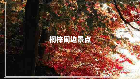 桐梓周边景点