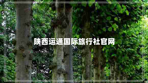 陕西运通国际旅行社官网