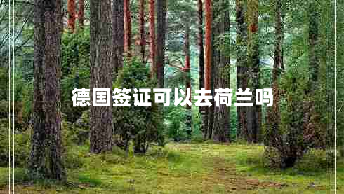 德国签证可以去荷兰吗