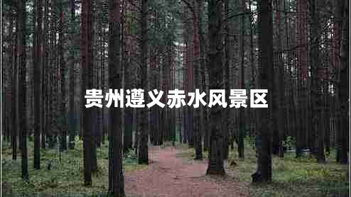 贵州遵义赤水风景区