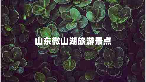 山东微山湖旅游景点