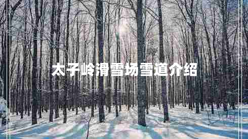 太子岭滑雪场雪道介绍 太子岭滑雪场雪道介绍