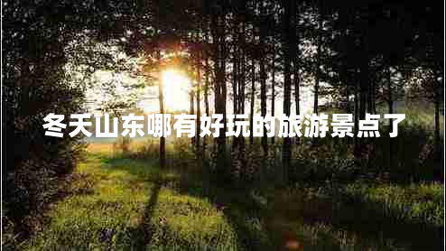 冬天山东哪有好玩的旅游景点了