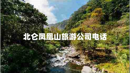 北仑凤凰山旅游公司电话