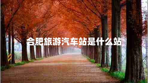 合肥旅游汽车站是什么站