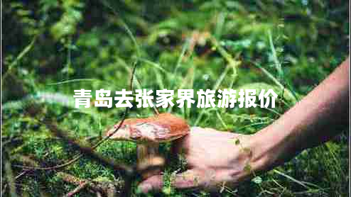 青岛去张家界旅游报价