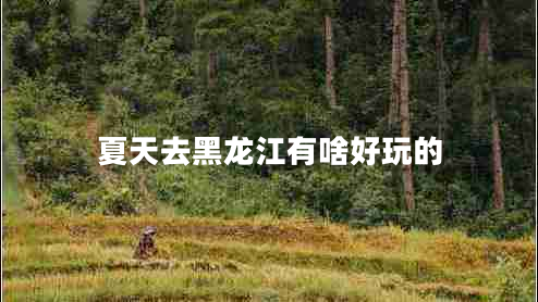 夏天去黑龙江有啥好玩的