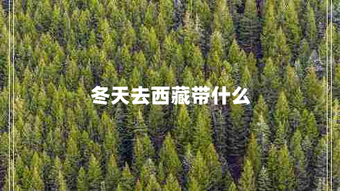 冬天去西藏带什么 冬天去西藏带什么