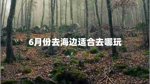 6月份去海边适合去哪玩