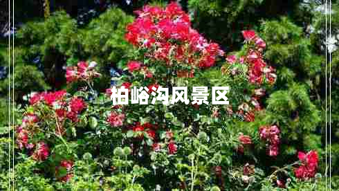 柏峪沟风景区