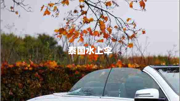 泰国水上伞