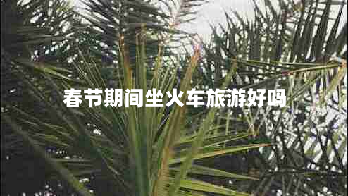 春节期间坐火车旅游好吗