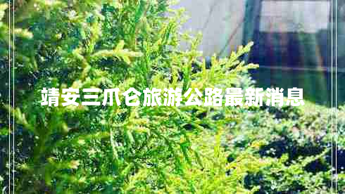 靖安三爪仑旅游公路最新消息