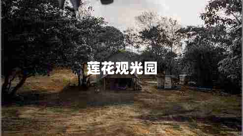 莲花观光园