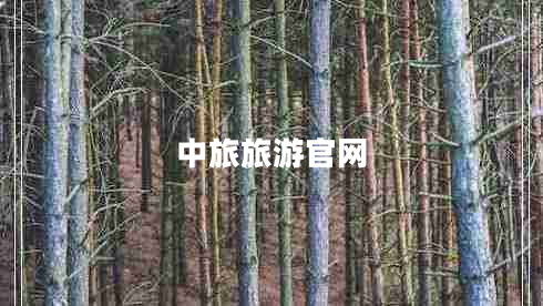 中旅旅游官网