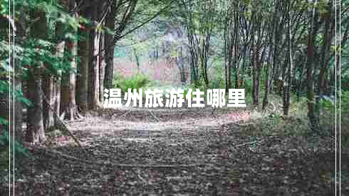 温州旅游住哪里