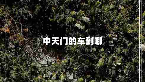 中天门的车到哪