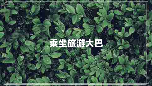 乘坐旅游大巴