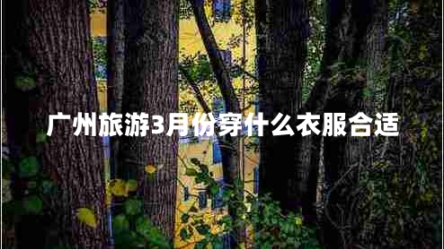 广州旅游3月份穿什么衣服合适