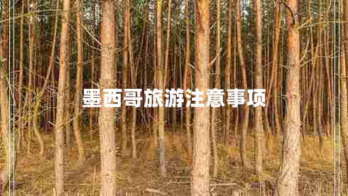 墨西哥旅游注意事项