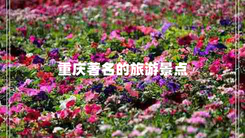 重庆著名的旅游景点