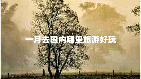 一月去国内哪里旅游好玩