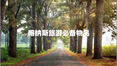 喀纳斯旅游必备物品