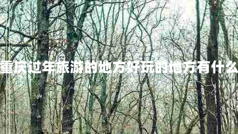 重庆过年旅游的地方好玩的地方有什么