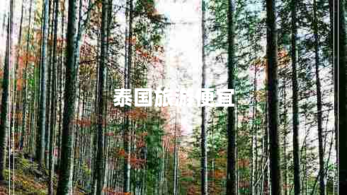 泰国旅游便宜