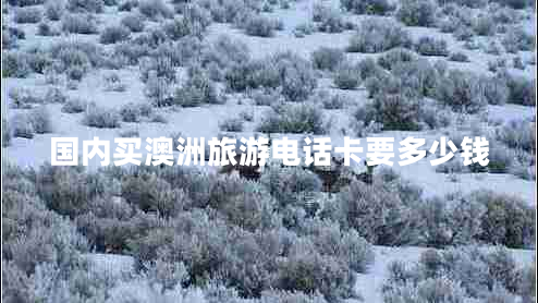 国内买澳洲旅游电话卡要多少钱 国内买澳洲旅游电话卡要多少钱