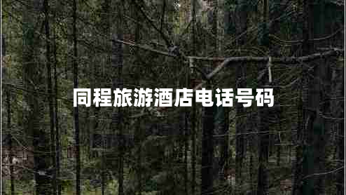 同程旅游酒店电话号码