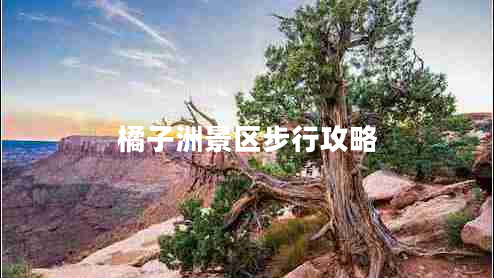 橘子洲景区步行攻略