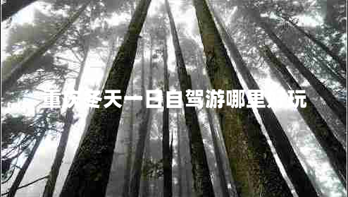 重庆冬天一日自驾游哪里好玩