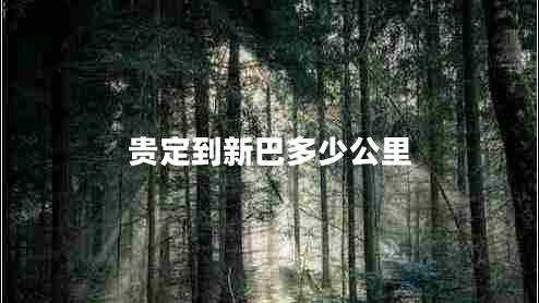 贵定到新巴多少公里