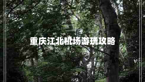 重庆江北机场游玩攻略 重庆江北机场游玩攻略