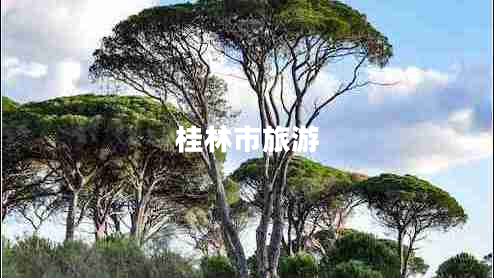 桂林市旅游 桂林市旅游