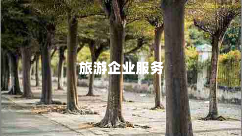 旅游企业服务