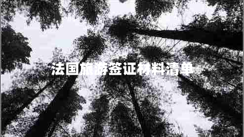 法国旅游签证材料清单