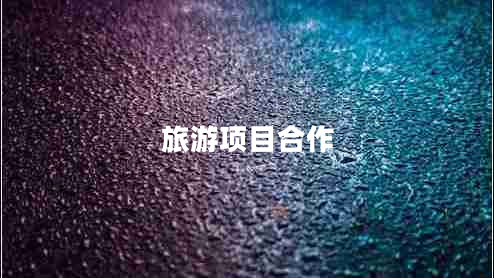 旅游项目合作