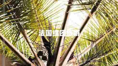 法国组团旅游