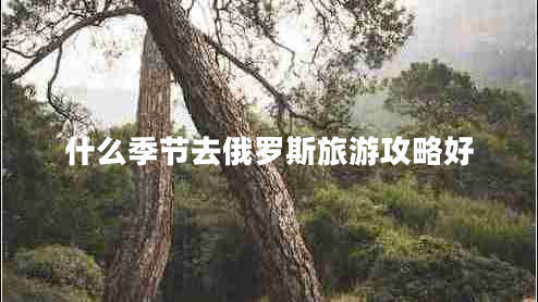 什么季节去俄罗斯旅游攻略好