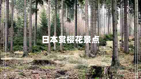 日本赏樱花景点