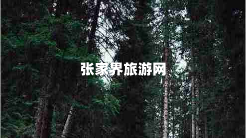 张家界旅游网