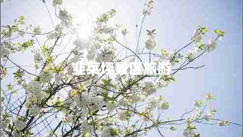 韭菜坪景区旅游 韭菜坪景区旅游