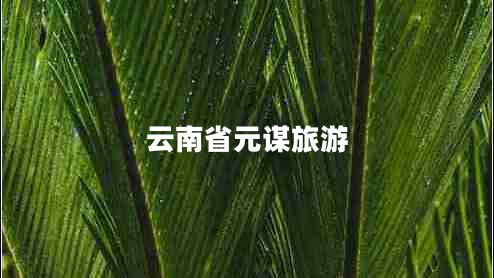 云南省元谋旅游