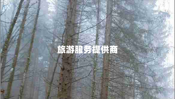 旅游服务提供商