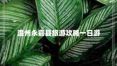 温州永嘉县旅游攻略一日游