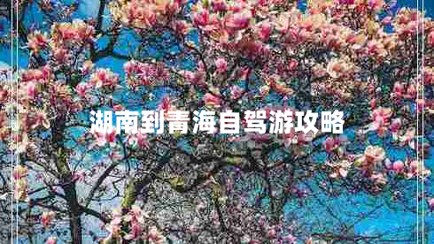 湖南到青海自驾游攻略