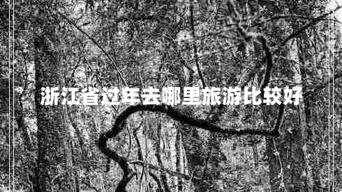 浙江省过年去哪里旅游比较好